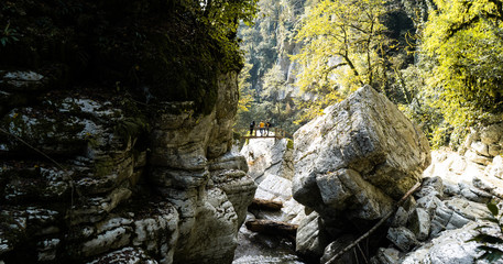 Sochi is a very beautiful nature, forest, and a small mountain river.