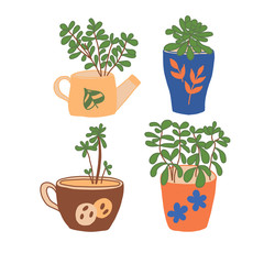 Set of green houseplants in interesting pots in vector graphics on a white background