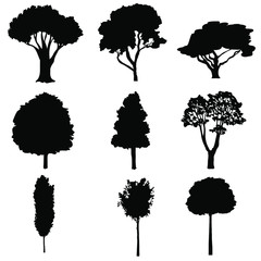 Silhouette plant illustration sign collection. tree icon vector cet. trees symbol.