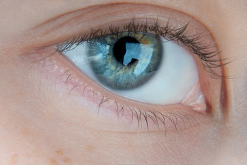 Macro photo of a female eye of blue color with yellow splashes