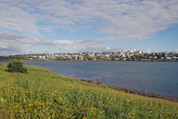 shore line in the icelandic city Reykjavik - 342747851