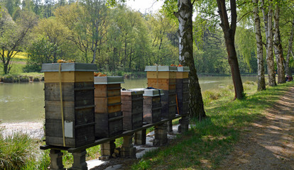 bienenstöcke am angelweiher bei orbis