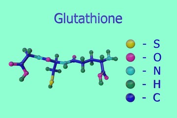 Molecular model of glutathione, isolated on light blue background. Glutathione is an antioxidant in plants, animals, fungi. Scientific background. 3d illustration
