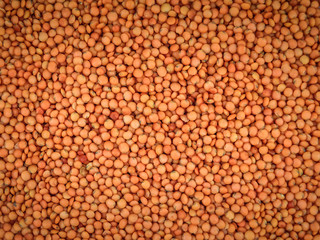 red lentils texture