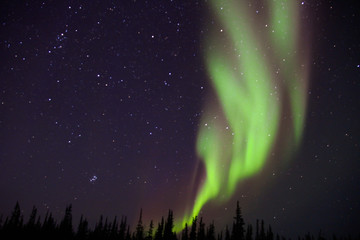 Northern lights dancing above the town of Churchill