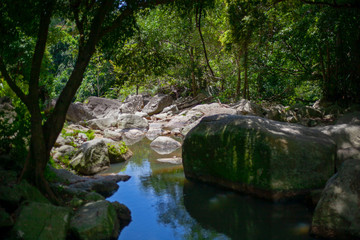 Naklejka na ściany i meble Mountain river in a rocky gorge in Thailand on Samui island.
