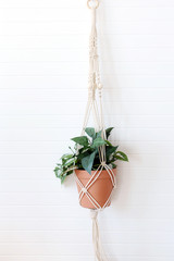 macrame with plant