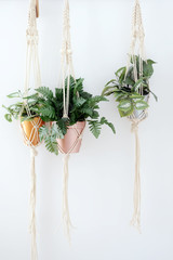 macrame with plant