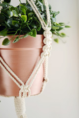 macrame with plant