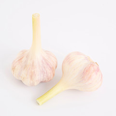 two light fresh garlic on a white background isolate