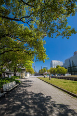 Obraz premium 初夏の名古屋の町風景