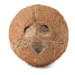 whole ripe coconut in a shell on a white background isolate