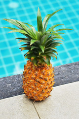 fresh pineapple next to the blue pool