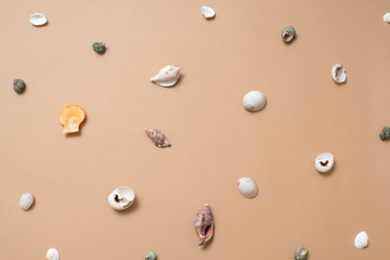Different seashells on a ochre color background , the concept of holidays by the sea.