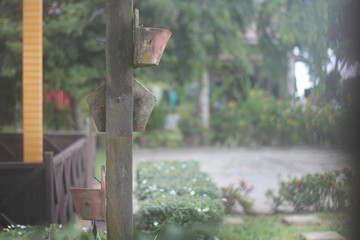 bird feeder in the park