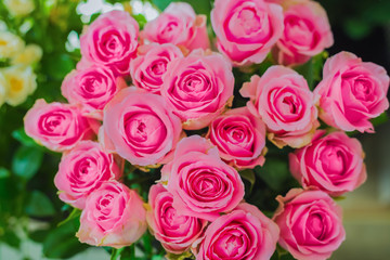 Colorful beautiful flowers bouquet - pink roses at studio, flower shop - close up top view. Floristry, romantic, holiday, birthday, valentine day, wedding, celebration concept