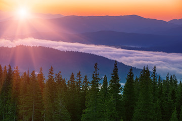 Morning mountain landscape