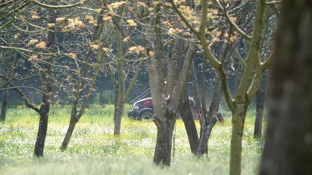 Tracteur fauche le foin