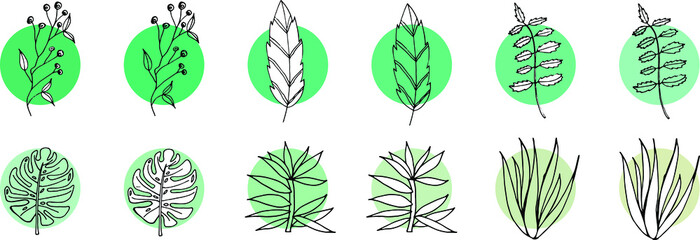 a set of 12 vector drawings of leaves, two in each variation, one with a cut-out area, the other without it. shades of turquoise