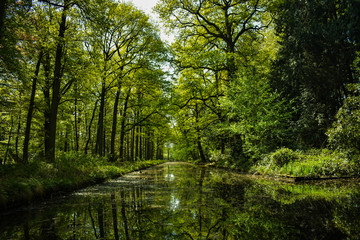 Dzika natura © Cam@Iza