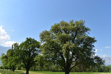 Naturfotografie