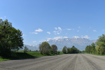 Fototapeta premium Naturfotografie