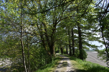 Fototapeta premium Naturfotografie