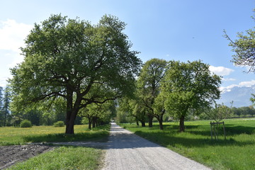 Naturfotografie