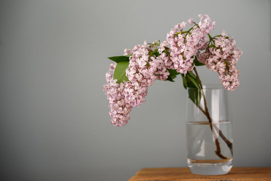Selective focus photo. Lilac flowers at glass vase.