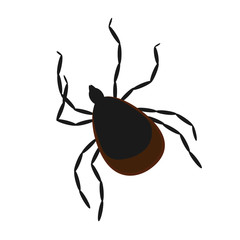 vector image of an insect tick.  tick-borne encephalitis.