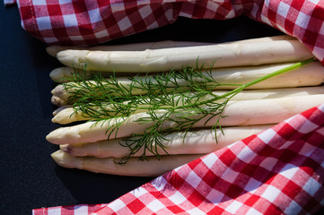Spargel - Asparagus officinalis