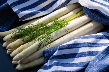 Spargel - Asparagus officinalis