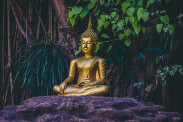 Buddha statue in Chiang Mai - Thailand March 2020