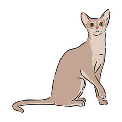 domestic cat, realistic vector sketch illustration, the sign of the cat