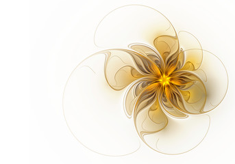 Golden-brown flower on a white background. Fractal