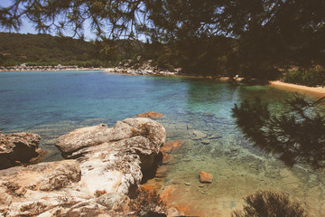 Summer nature landscape and beautiful seascape