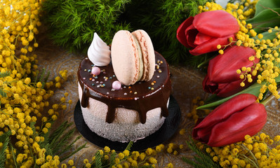 Mother's Day, Valentine Day, Woman's Day, Happy Birthday