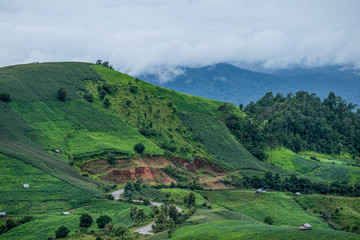 A resort beside rice fields and mountains during the rainy season in Mae La Noi District, Mae Hong Son Province of Thailand.