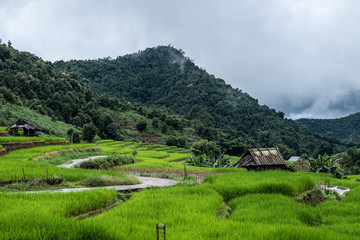 Fototapeta premium A resort beside rice fields and mountains during the rainy season in Mae La Noi District, Mae Hong Son Province of Thailand.