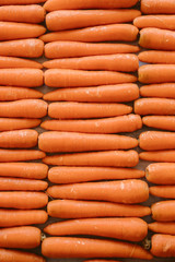 Organic carrots as texture and background. Top view.  Organic and healthy food.  