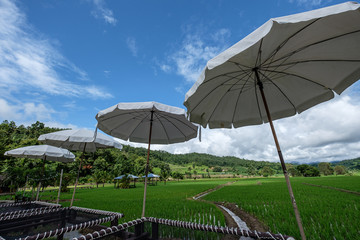 A resort beside rice fields and mountains during the rainy season in Mae La Noi District, Mae Hong Son Province of Thailand.