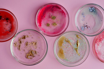 Viruses and bacteria in a Petri dish, various analyses in the laboratory. Virology and virus research, concept.
