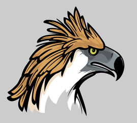 Philippine Eagle Head, Colored Side View Illustration