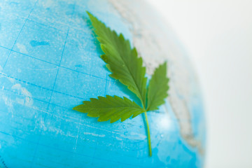 globe and cannabis leaf . medical marijuana global symbol