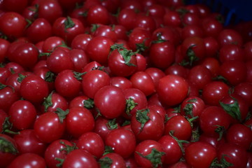 small red tomatoes