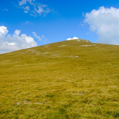 Fototapeta premium summer landscape with blue sky and alpine meadow 