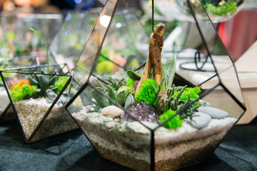 Florarium - flower arrangement in glass vessels