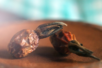 Dried rosehip fruit macro
