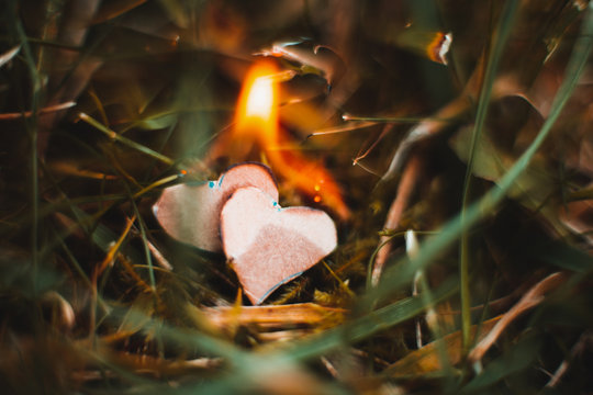 Close-up Of Burning Heart Shapes On Grass
