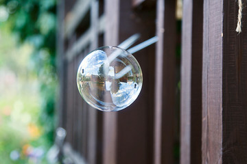 a soap bubble in the air